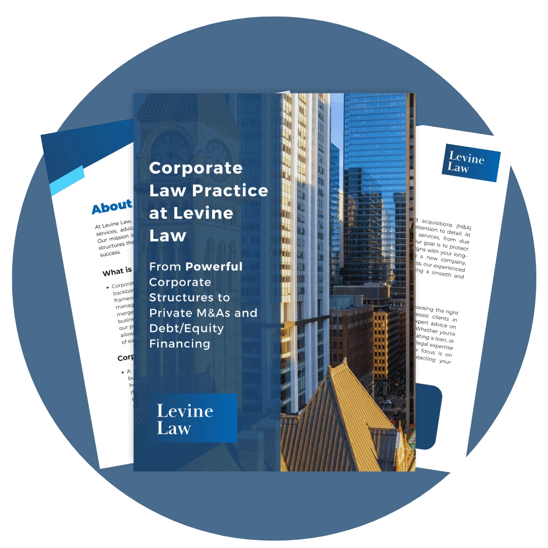 Corporate Law Practice at Levine Law free download