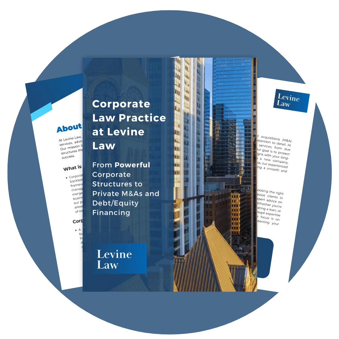 Corporate-Law-Practice-at-Levine-Law-free-download