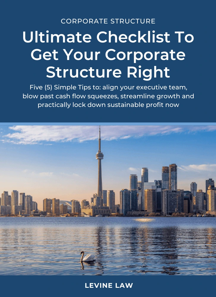 Free-Corporate-Structure-Checklist-by-Levine-Law